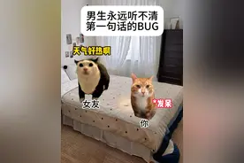 男生永远听不清第一句话的BUG #猫meme #猫meme小剧场 #内容过于真实 #男生 #BUG
