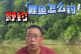 夏季鲤鱼怎么钓 夏季钓鲤鱼必需知道的知识技巧。
学会了，你也能轻松爆护。
#钓鱼新手必备  #钓鱼技巧  
#钓鱼新手必学 #钓鱼 #钓鱼人视频封面