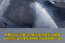 欧盟禁运俄煤，全球“煤炭战”开打？#国际 #新闻 视频封面