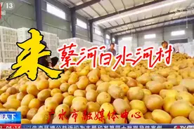 #来蔡河白水河村桃李飘香生态果园 # #乡村振兴 #美丽乡村视频封面