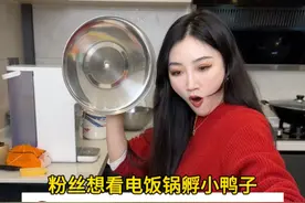 粉丝想看我用电饭锅孵小鸭子～ #孵蛋 #人工孵化 #柯尔鸭 #柯尔鸭孵化 #vlog日常视频封面