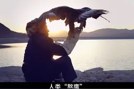 世界上最难驯服的动物 #世界之最 #趣闻视频封面