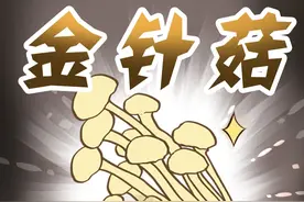 “明天见”的金针菇，不易被消化为何还要吃? #金针菇  #金针菇为什么叫明天见 #冷知识 #科普 #科普一下