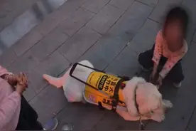 男子带导盲犬在路边准备打车时，遇到两个小女孩暖心帮助“狗狗退休了 你的眼睛也会好吗”视频封面