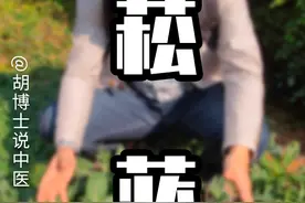 菘蓝，也是板蓝根 #菘蓝 #板蓝根 #感冒 #胡博士说中医视频封面