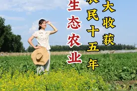 石嫣博士：做农业十五年最大的收获#乡村守护人 #三农计划2022 #农业 视频封面