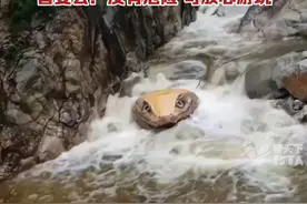 嵩山一景点现巨型蛇头彩绘，栩栩如生被指吓人。管委会回应："是因石头比较像蛇头，后续才有人进行彩绘。没有危险，可放心游玩。"
