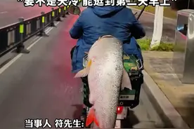男子钓到56斤鳡鱼"巡街"炫耀，当事人: 逛了近5个小时，人多的地方都转了视频封面
