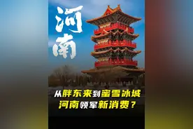 从胖东来到蜜雪冰城，河南领军新消费？#dou来守护钱袋子 #100种求稳人生 #掘金计划2025 #支付宝碰一下 #碰一下新入口