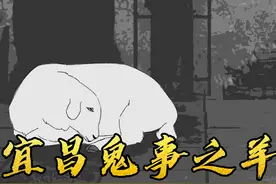 农户过生日杀羊，结果剥了皮扒了内脏的羊蹦蹦跳跳的跑了视频封面