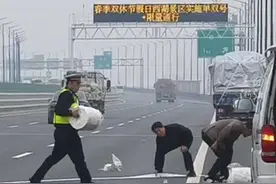 哪怕被罚款也很满意？货车上的货物掉落高速，高速交警暖心帮助！（供稿：绍兴高速交警）视频封面