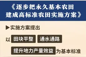 中共中央办公厅、国务院办公厅印发《逐步把永久基本农田建成高标准农田实施方案》#永久基本农田#高标准农田建设#农业#三农视频封面