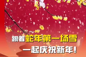 就在这一刻，北京蛇年的第一场雪飘落。你那里下雪了吗？#北京下雪 #刀郎 #刀郎就在这一刻 #北京局地飘起雪花 #北京文旅放大招视频封面