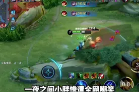 小胖只因身材太胖被众多女生喊话退出KPL#小胖 #KPL视频封面
