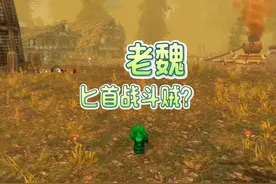 魔兽世界：匕首战斗贼荒野作战记！ #魔兽世界 #游戏解说视频封面