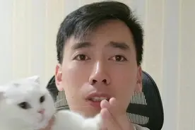 免费云端搭建AI助手，可使用chatglm2、llama2等大语言模型视频封面