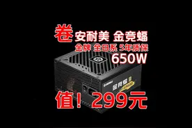 299元650W金牌5年保全日系电源！安耐美金竞蝠650W视频封面