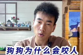 狗狗为什么会突然咬人？#训犬 #上海训犬师 视频封面
