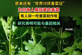 原来还有“世界讨厌香菜日”，为何有人疯狂爱吃香菜，有人却一吃香菜就作呕，研究表明可能与基因相关。#媒体精选计划