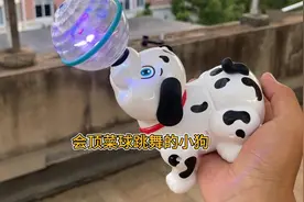 会顶球的杂技斑点狗还会唱歌跳舞 #玩具#3到6岁儿童玩具 #玩具狗视频封面