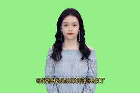 母猪便秘的几种解决方法#养猪人#养猪技术 #农村人养猪视频封面