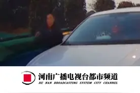 危险!白车在省道上逆行。老司机及时减速将损失降最低，却遭副驾驶男子砸车门质问#交通安全 #交通事故 #离谱操作 （来源@车美家汽车美容维修 ）视频封面