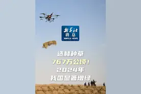 新华社消息｜造林种草767万公顷！2024年我国显著增绿视频封面