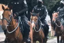 新疆特警骑巡队出门巡逻气场瞬间炸裂视频封面