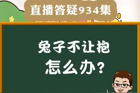 兔子不爱被抱怎么办？兔子不让抱怎么办？如何抱兔子？#宠物兔