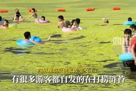 7月12日，山东青岛。#青岛海边浴场遭浒苔侵袭 成片的绿苔漂浮在海面上，有游客自发清理。游客：半天间忽然抢滩“登陆”。