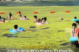 7月12日，山东青岛。#青岛海边浴场遭浒苔侵袭 成片的绿苔漂浮在海面上，有游客自发清理。游客：半天间忽然抢滩“登陆”。