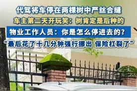 #代驾将车停在两颗树中间严丝合缝  车主：第二天花了十几分钟强行挪出，保险杠裂了 #代驾 #停车 #昆明 #云南视频封面