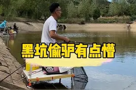 黑坑偷驴有点懵 #2023dou来钓鱼 #dou是钓鱼人视频封面