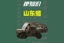 【梗知识】山东猫 #热点 #战备省 #俄乌冲突视频封面