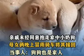 亲戚未经同意抱走家中小奶狗，母女俩晚上冒雨骑车将其接回。当事人：狗狗也是家人。#小狗视频封面