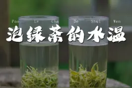 很多茶友喜欢绿茶的鲜爽，泡绿茶用多少度的水温更合适呢？#绿茶 #茶叶冲泡 #泡茶水温 #茶知识   视频封面