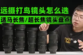 远摄打鸟镜头怎么选-适马长焦/超长焦镜头盘点视频封面