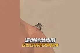 深圳新增病例 这些区域市民需警惕#基孔肯雅热