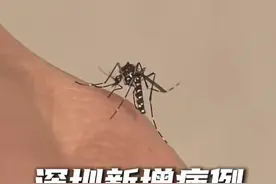深圳新增病例 这些区域市民需警惕#基孔肯雅热