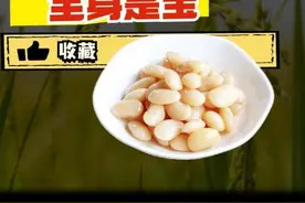 豆中贵族：白芸豆的营养价值 #白芸豆 #营养学科普 #健康小常识视频封面
