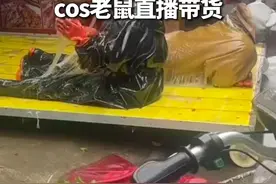 “拔丝地鼠”？四川一粘鼠板商家cos老鼠直播带货 #直播带货 #万万想不到 （来源：四川日报）视频封面