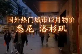 国际热门城市物价及收入-悉尼、洛杉矶24年12月视频封面
