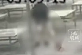 8月1日（发布），山东潍坊。小猫被男子多次摔打致死，尸体还被扔到花坛里？小猫主人：过程和行为非常恶劣。关注👉@小政视频  #虐猫  #小猫  #监控下的一幕  #山东dou知道  #抖音小助手  来源@多次婉拒王小草