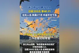2月26日（采访） 浙江舟山。浙江舟山招募13名“海鸟监测员”，日薪300元，住无人海岛，定期配送食物，要求懂鸟类，没有周末概念，待满2个月，中途不可下岛。#浙江舟山 #海鸟 #招聘视频封面