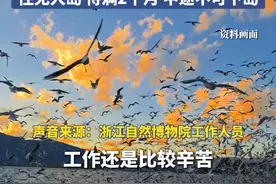 2月26日（采访） 浙江舟山。浙江舟山招募13名“海鸟监测员”，日薪300元，住无人海岛，定期配送食物，要求懂鸟类，没有周末概念，待满2个月，中途不可下岛。#浙江舟山 #海鸟 #招聘视频封面