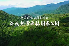 世界冠军代言国家公园系列短视频之海南热带雨林国家公园 |视频封面
