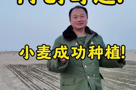沙漠竟然种出了小麦，向治沙英雄致敬，再恶劣的环境也能创造奇迹 #沙漠变粮仓 #塔克拉玛干沙漠 #沙漠锁边生态林视频封面