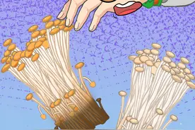 金针菇水洗变色还能吃吗 #生活小常识 #科普一下视频封面