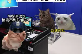 命里有编 书都不用翻 #猫meme #歼20 #光启油漆 #猫meme小剧场视频封面