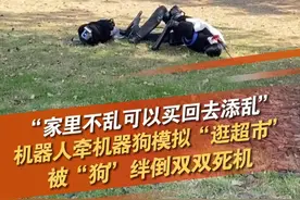 10月29日，上海，有网友在滨江偶遇科研团队在户外测试机器人遛机器狗，机器人背着帆布包感觉要“上超市” ，结果被“狗”绊倒双双倒地。失败是成功之母，一切科研成果都是从“摔倒”开始的，加油！#机器人  #科技  #失败 @抖音短视频视频封面